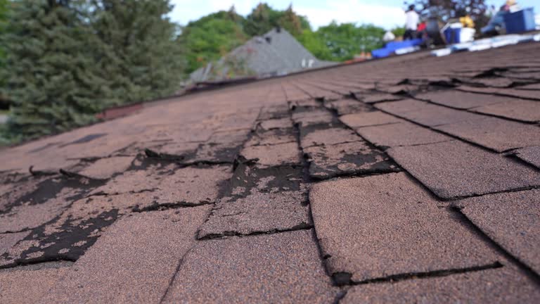 Best Roof Maintenance and Cleaning  in Ellsworth, KS